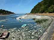 port du legue saint-brieuc