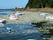 port du legue saint-brieuc