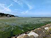 port du legue saint-brieuc